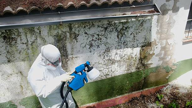 Top rated local Mold Remediation specialists in Liverpool, PA